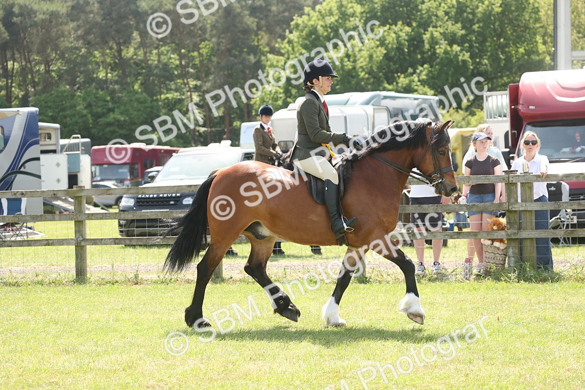SBM_07014 - Class 26-30 - Mountain and Moorland Ridden