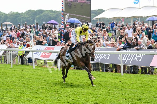 170524-Race 2-Botanical-7677 - Race 2 2.45pm Knights Solicitors Handicap