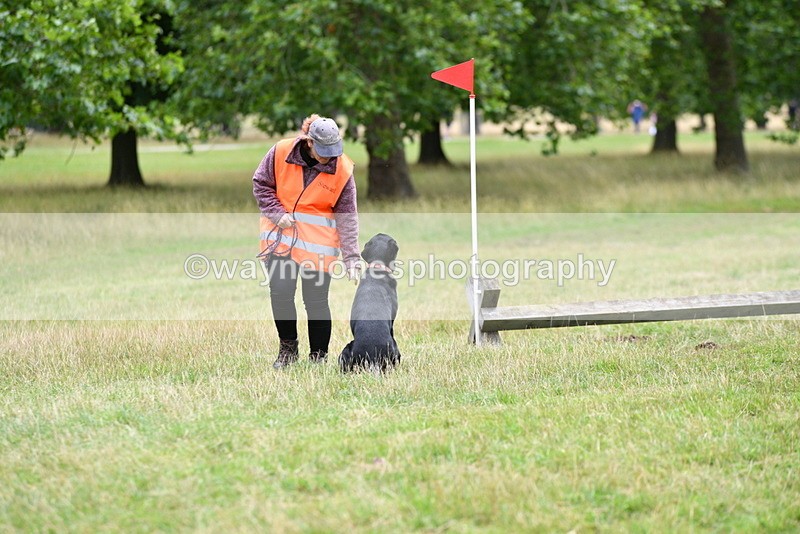 WJ5_3077 - Time at Jump 14:47 to 15:17