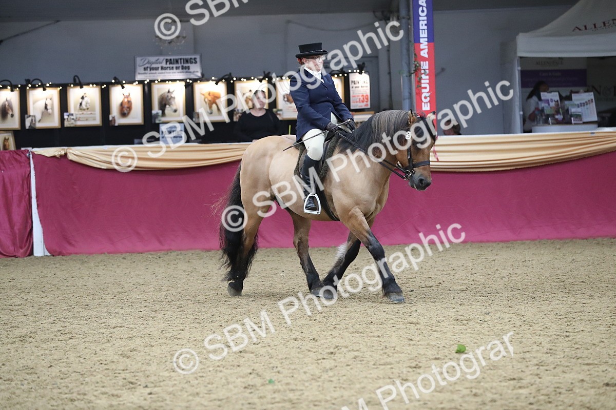 SBM_16440 - Class 502 M&M Ridden Supreme Final