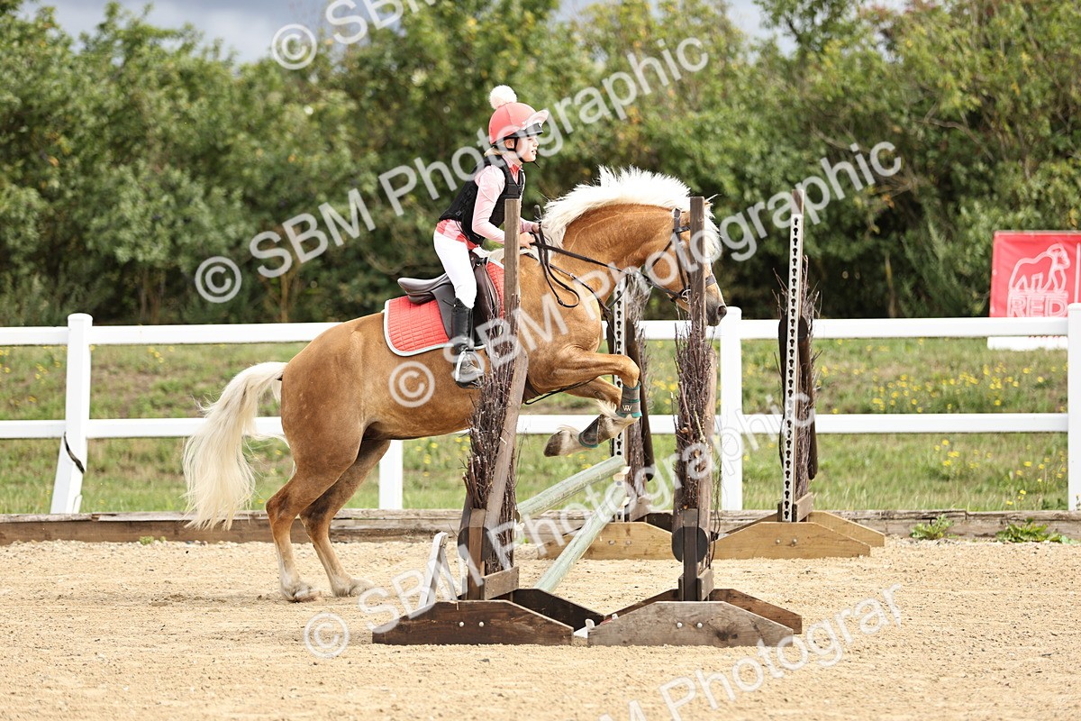 SBM_002933 - 50cm