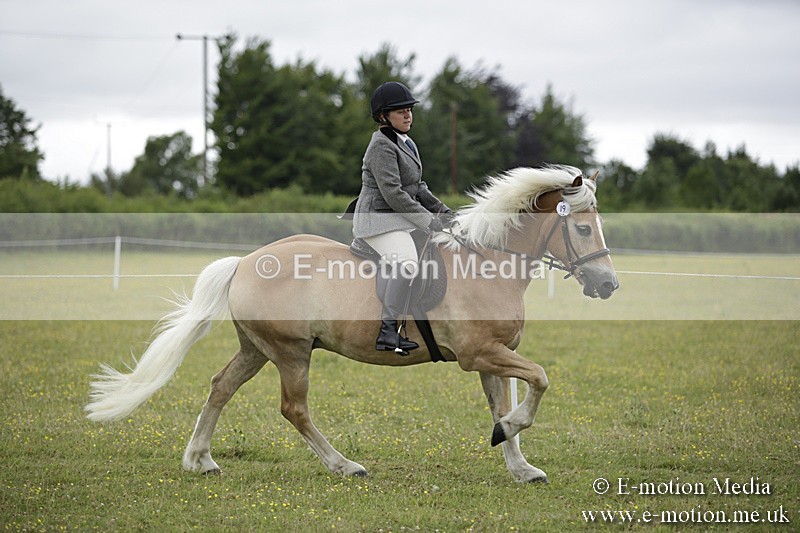 BVR160717-1517 - Ring 1 BVRC Show 16/07/17