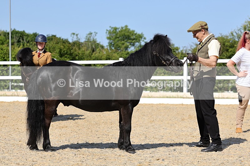 1X9A0887 - Class 5: Veteran In Hand