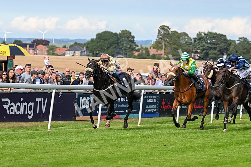 290725-Race 6-Jojo Rabbit-0996 - Race 6