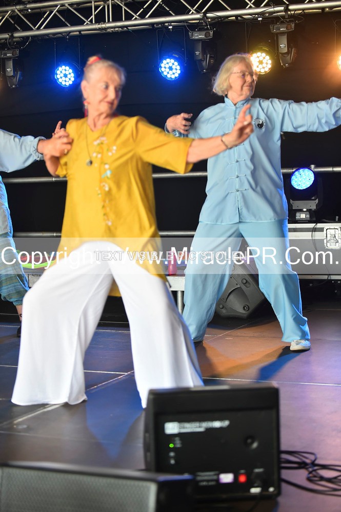 SH4_1367 - Tai Chi with Lisa Kay.