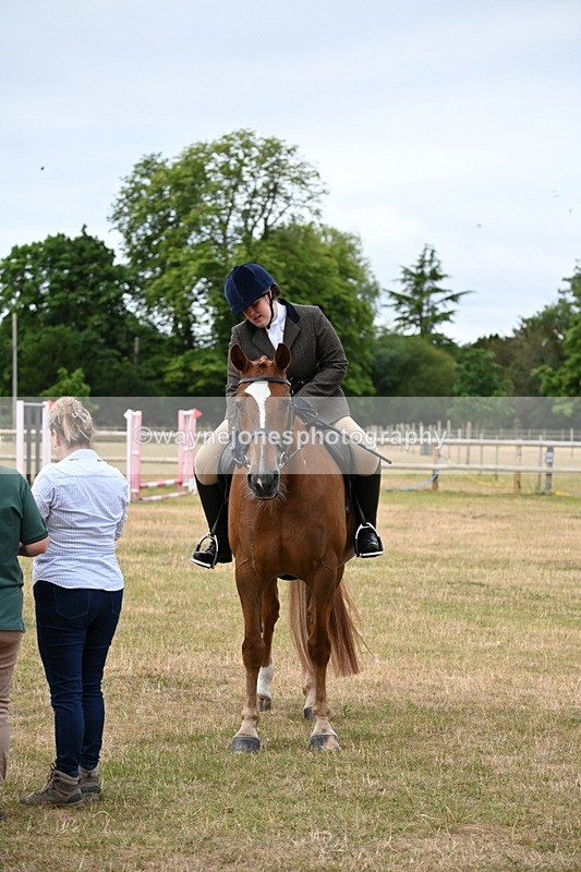 WJ6_3973 - Class 9 Tack & Turnout