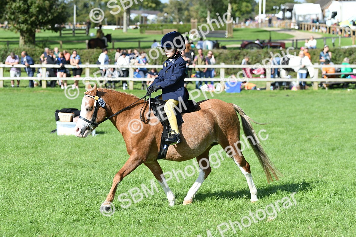 SBM_50354 - S21 - Novice & Newcomers 1st Ridden Pony