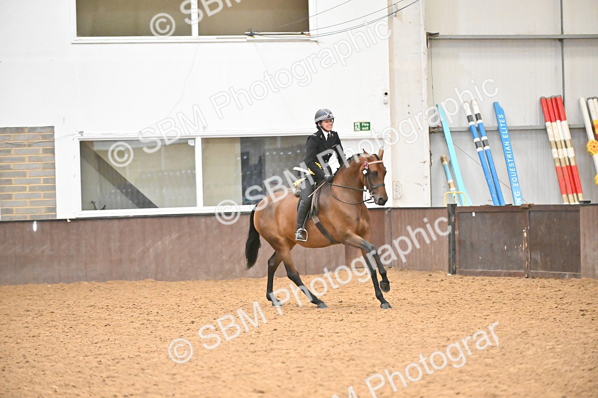 SBM_002422 - Class 22 - BSHA Ridden Hack & Riding Horse