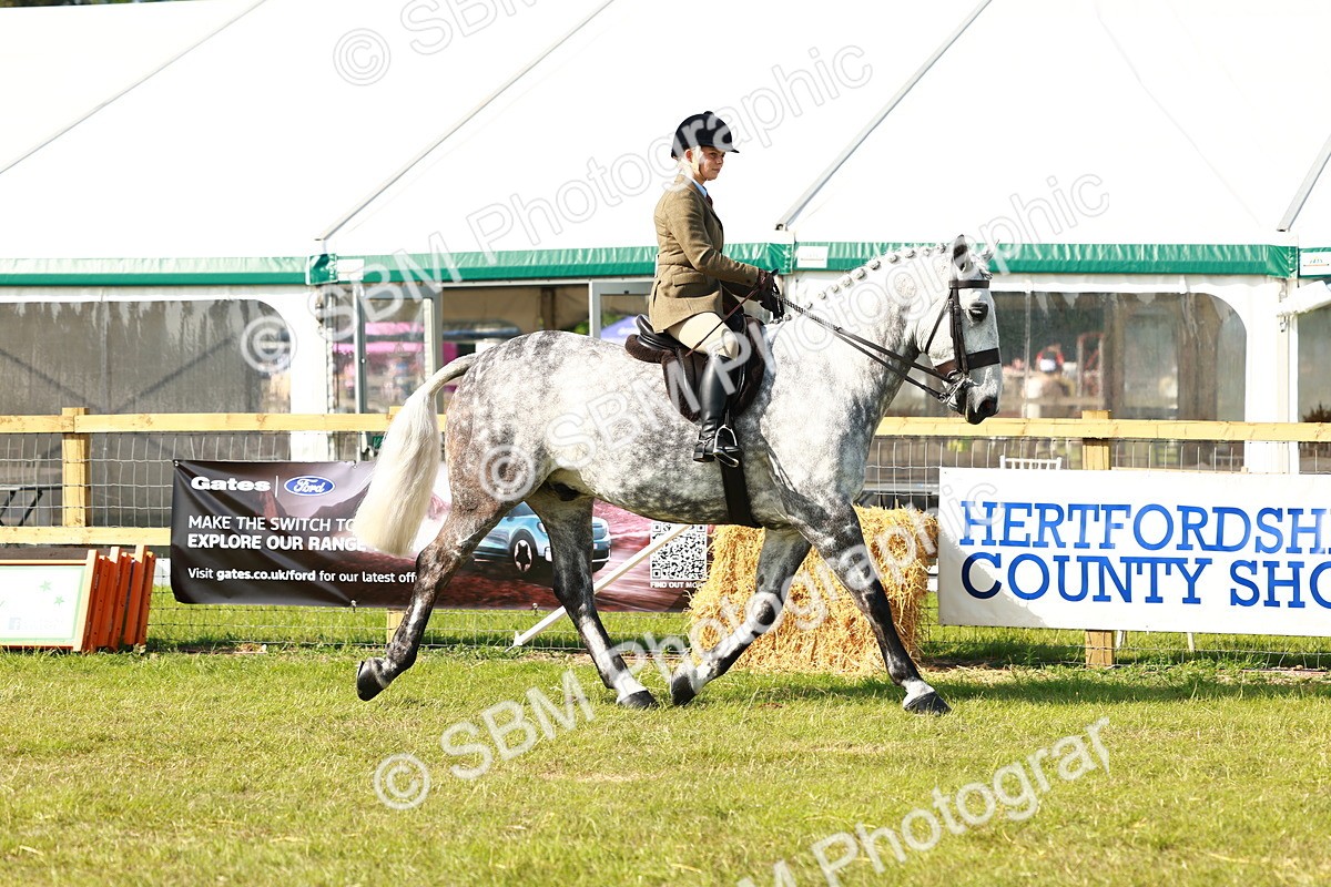 SBM_11743 - Class 66-69 - RIHS Ridden Hunters Inc Small Hunter