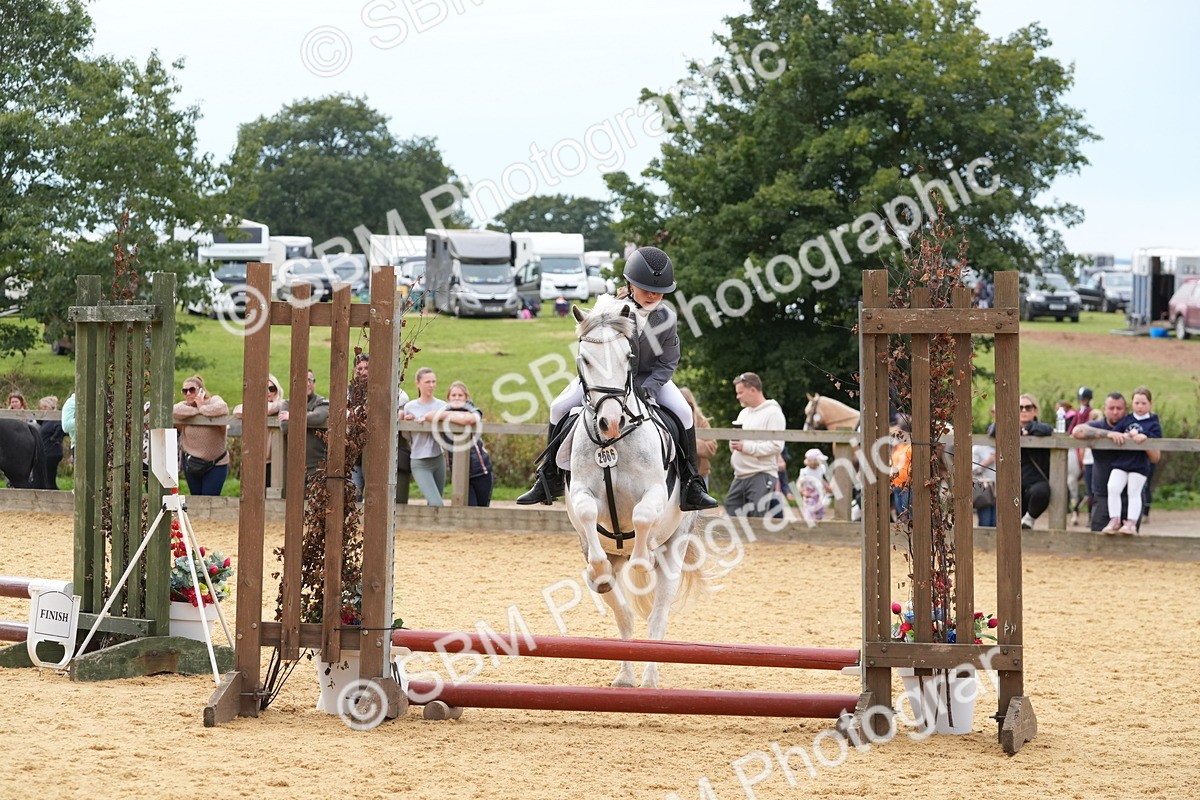 SBM_70643 - J3 - Mini Tour Junior Pony 40cm Championship