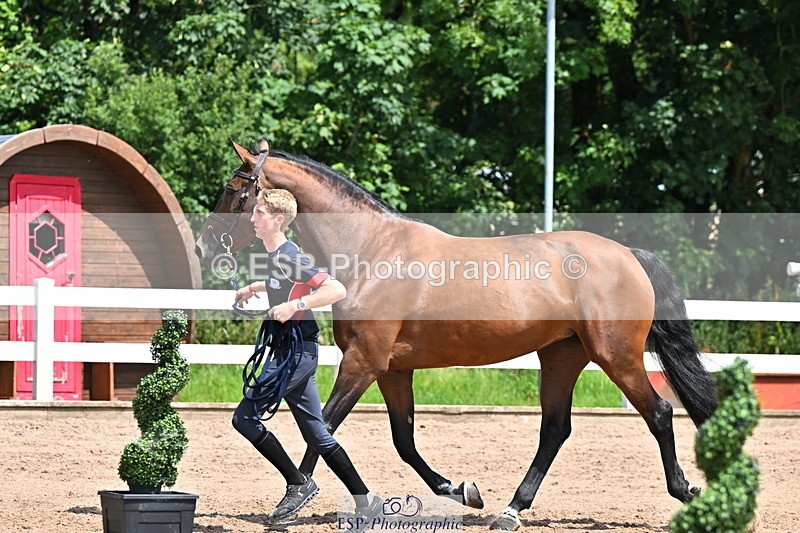 240718A-105249-01204 - Trot Up 12pm to 1pm