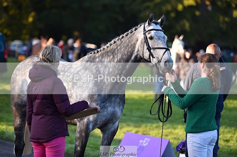 231022-084250-21309 - 662-PAULS.JOE-Eliza.Hallett-TrotUp+SJ