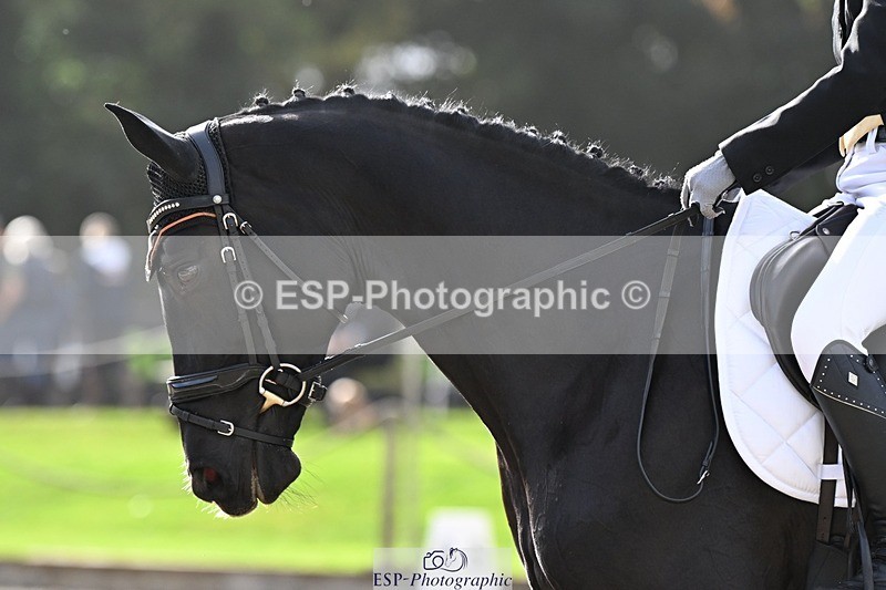 231019-144352-04261 - 056-WILLOW.BDA-Lisa.Maynard-DR