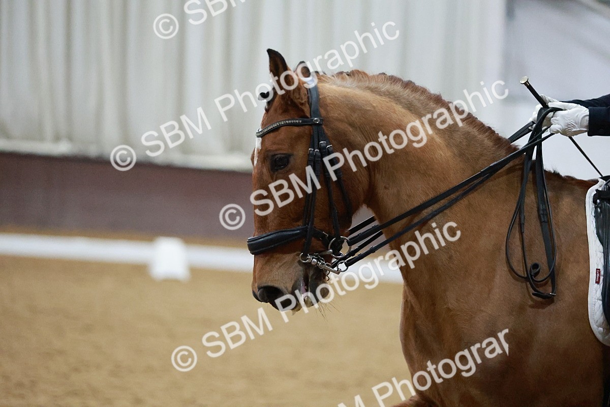 SBM_005654 - Medium Music-Medium 2-Adv Med 1