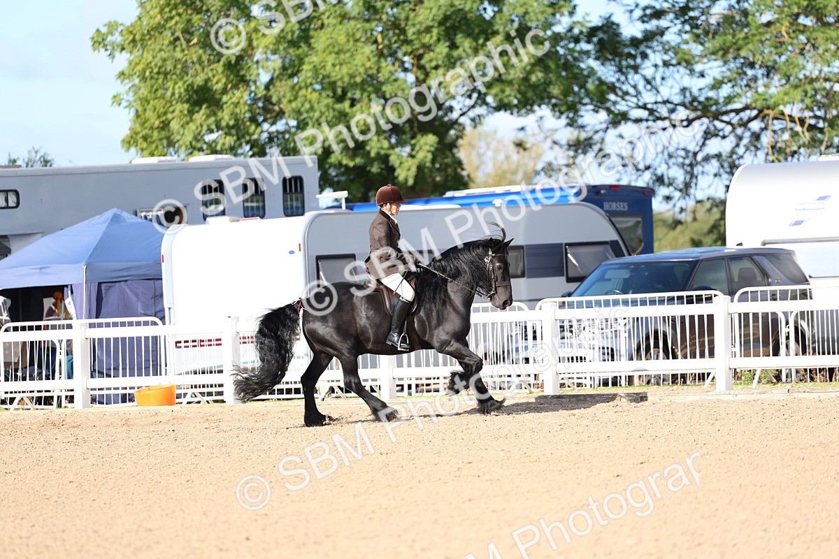 SBM_08942 - Class 302 - Ridden M&M - Large Breeds