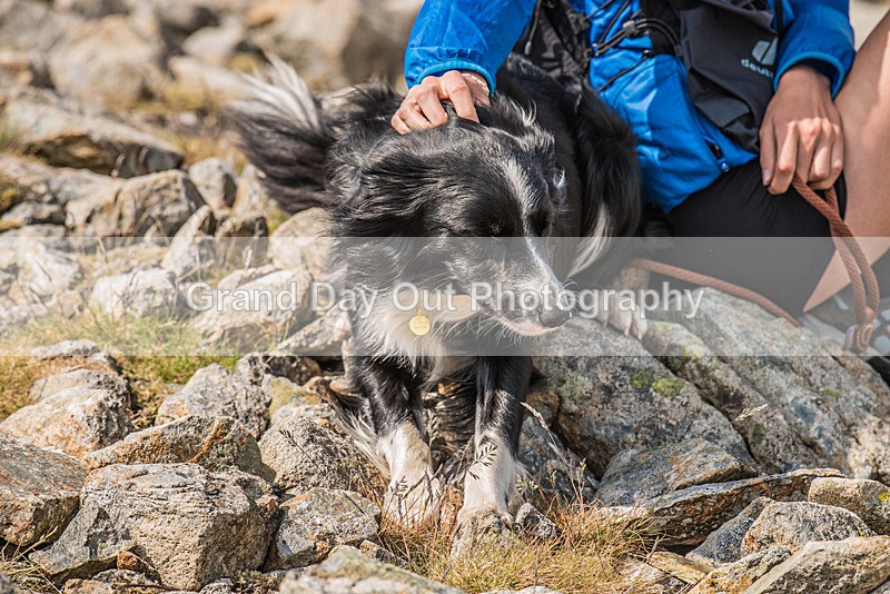 Ennerdale-66 - Ennerdale Horseshoe Fell Race Saturday 10th June 2023