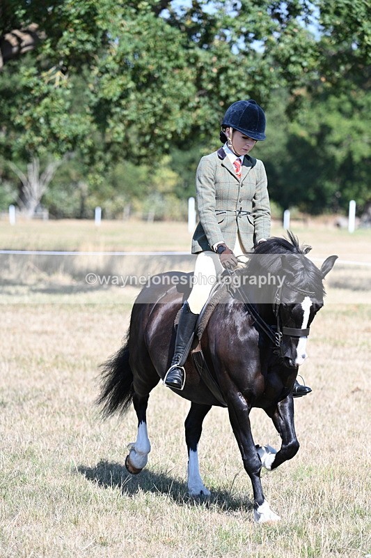 WJ7_3678 - Class 9 Mountain & Moorland Ridden