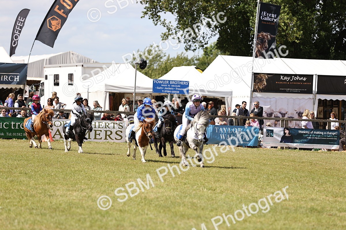 SBM_16805 - Dinky Derby