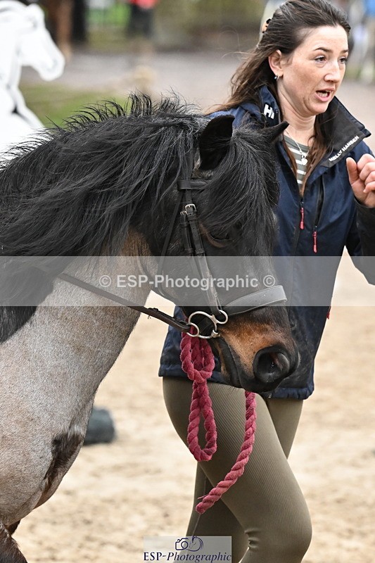 260222A-094441-00215 - 40cm Lead Rein and Assisted