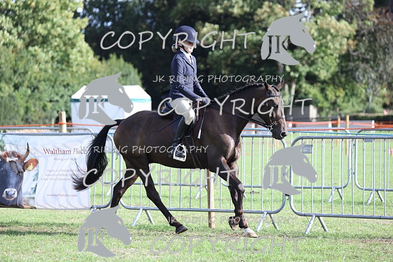 APP_4213 - Class 15a/b Pony club pony/Riding club horse