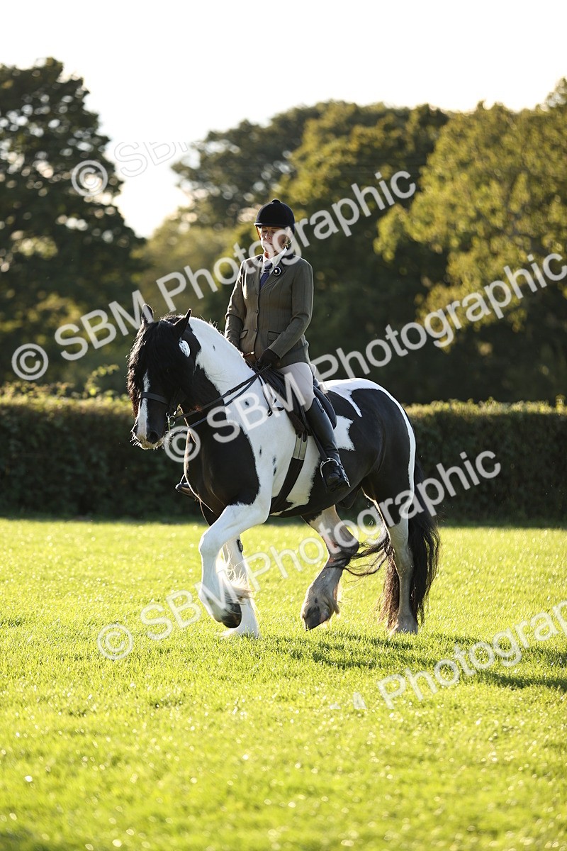 SBM_30113 - Novice & Newcomers Supreme Championship