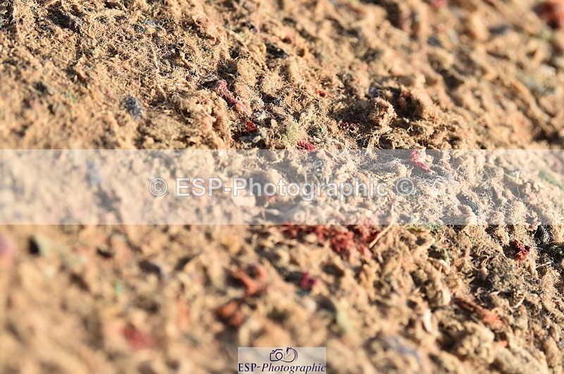 231029A-105104-02824 - Pony Discovery & 90cm Open