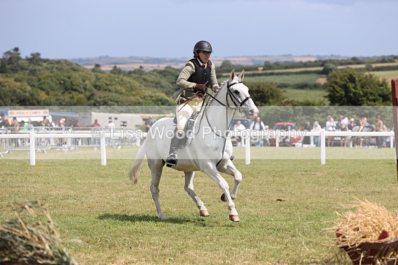 JPP_2087 - Class 19: Working Hunter 60cm