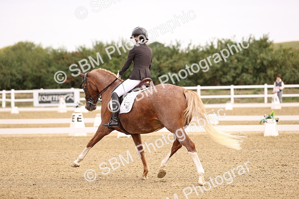 SBM_011528 - Class 1 - Medium 5