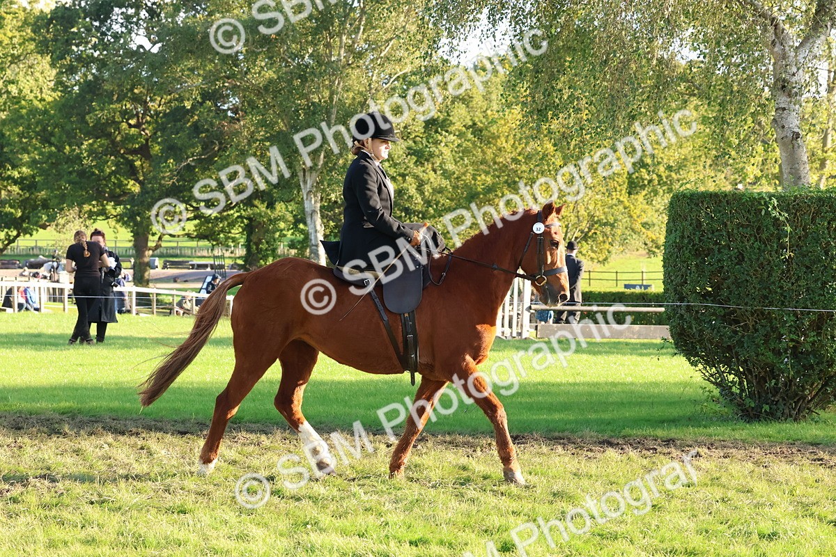 SBM_52994 - S29 - Mature Veteran Ridden