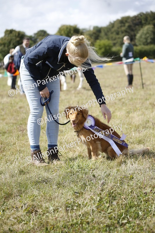 20250831-3693 - Dog Show