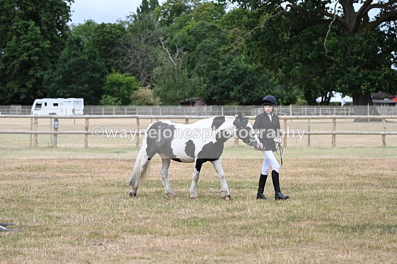 WJ6_4589 - Class 10 Coloured In-hand