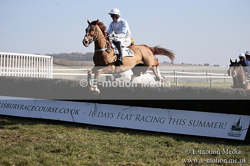 PtP 240218 351 - Vine & Craven Hunt Point-to-Point Barbury racecourse 24/02/18