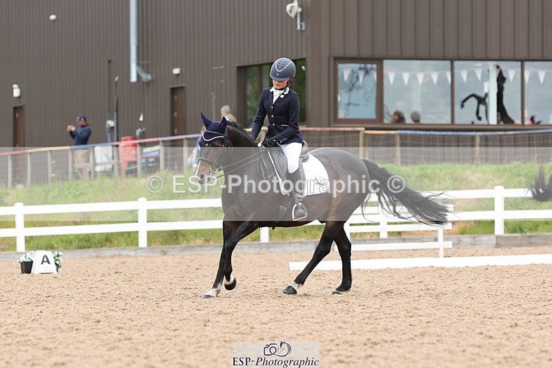 240622A-135810-11876 - Cls 29 BD Elementary 45