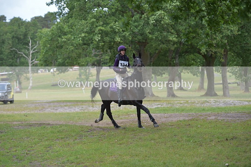 NGP_7579 - Time 11:18 to 11:27