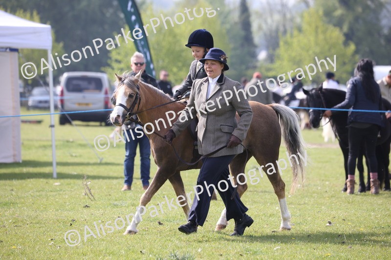 20260426-0428 - Class 30 - Tiny Tots Lead Rein