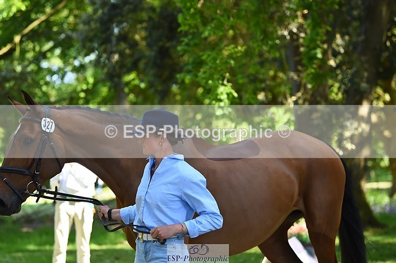 230524-152536-00259 - 327-ROMANTIC-Rosie_Fry-WEDTrotUp+DR