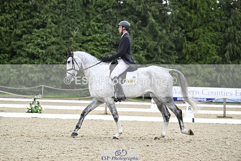 000101-215605-04495 - 404-DEERPAIRC_REVELRY-Max_Warburton