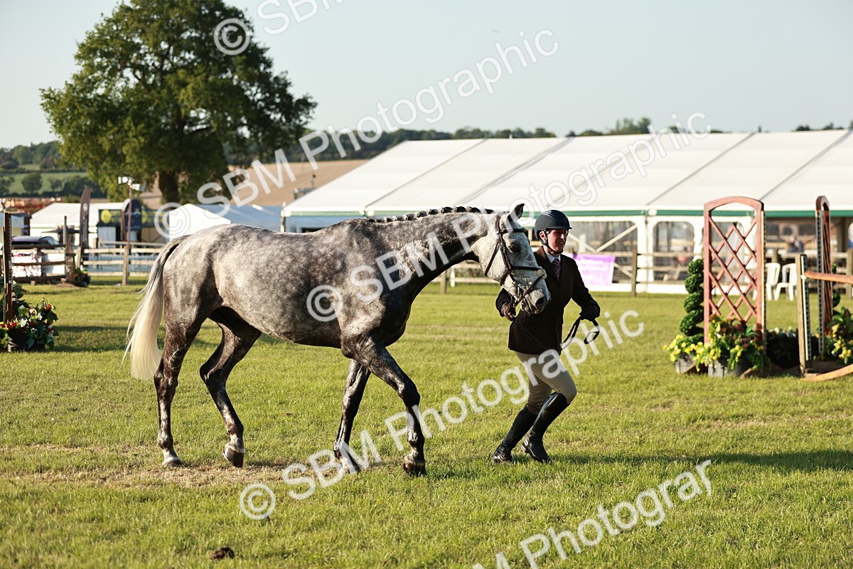 SBM_20517 - Class 117-119 - Sport Horse Working Hunter