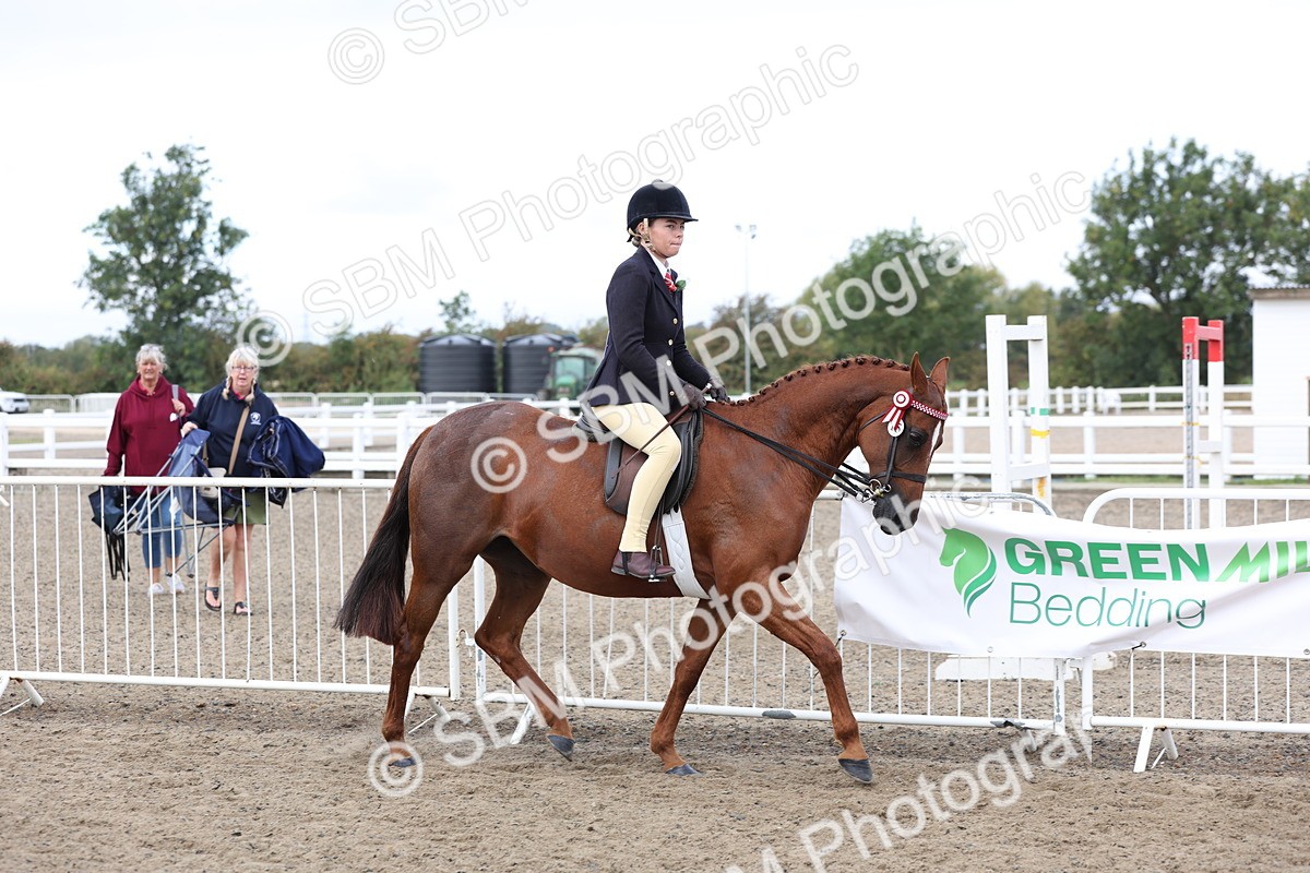 SBM_01477 - Class 52 - Ridden Veteran