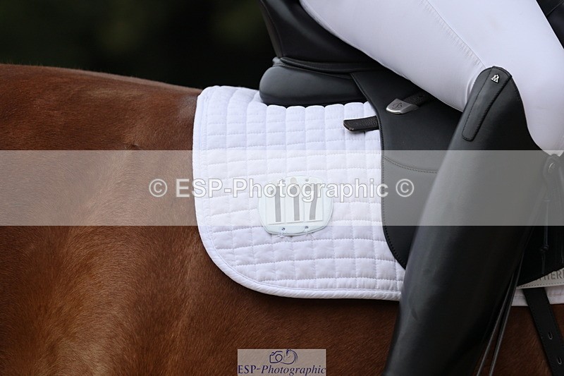 250718A-114443-00938 - 117-Alexandra.Northwood-Scurlagecastle.Gino