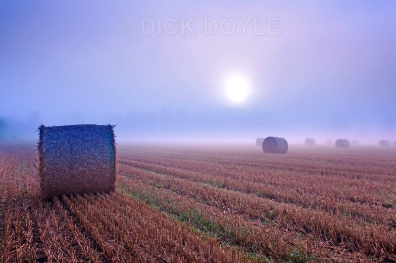 clonmore bales sunrise - TIPPERARY