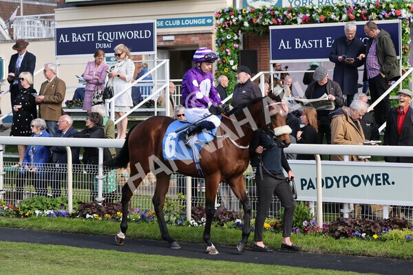 yr12052022r6-7 - Race 6 4.45pm Frank Whittle Partnership EBFstallions.com Maiden Stakes