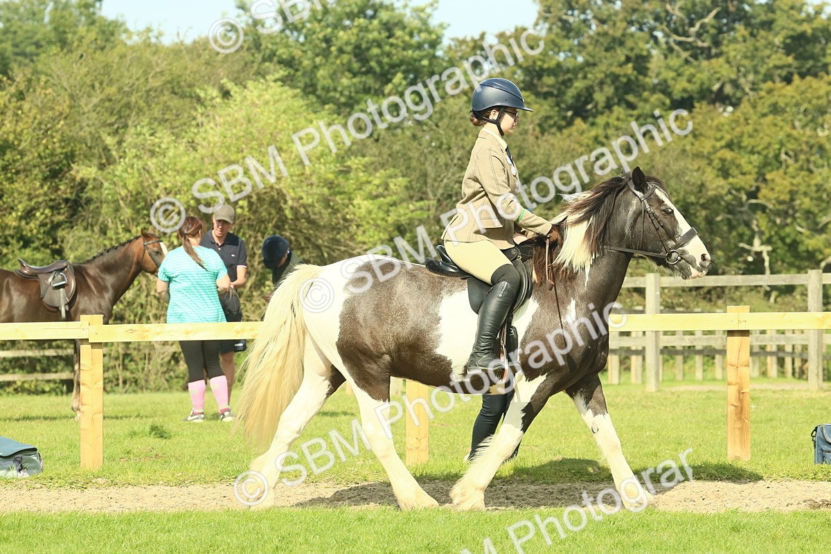 SBM_67423 - S56 - Coloured Pony Ridden