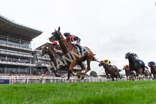 yr18082022r3-30 - Race 3 3.00pm Clipper Logistics Stakes