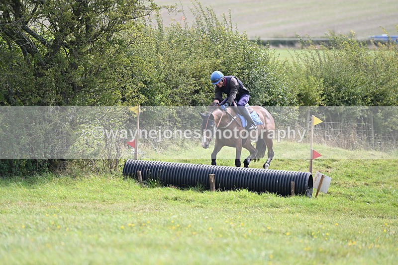 WJ6_8303 - Time 12:18 to 12:59