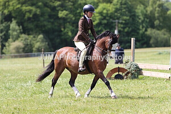 IMG_3438 - Working Hunter
