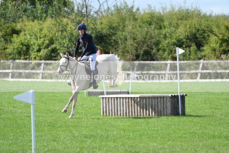 WJ7_8594 - 60cm Pairs