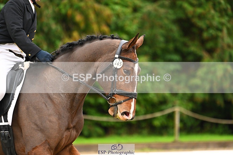 231021-122513-14944 - 245-AVALON.EXCHANGE-Simon.Vatcher-DR