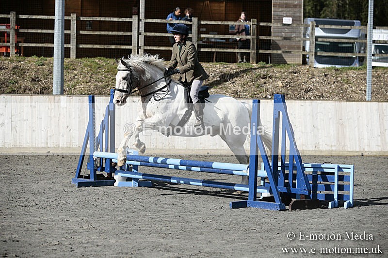 BVRC SJ 170319 127 - Bourne Valley Riding Club Showjumping 17/03/19