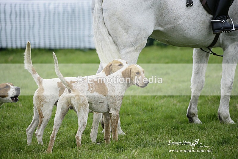 PtP 050322 235 - The Beaufort Races Didmarton 05/03/22